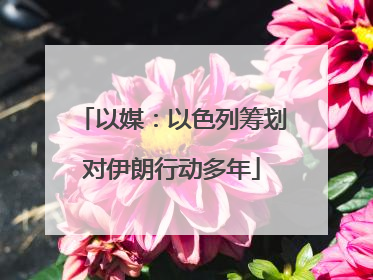 以媒：以色列筹划对伊朗行动多年