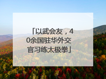 以武会友，40余国驻华外交官习练太极拳