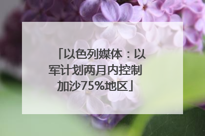 以色列媒体：以军计划两月内控制加沙75%地区