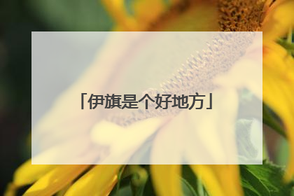 伊旗是个好地方
