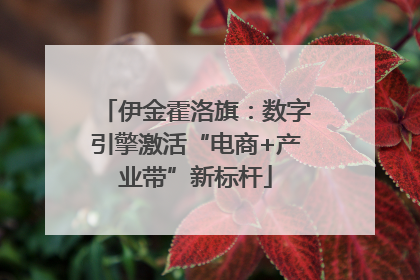 伊金霍洛旗：数字引擎激活“电商+产业带”新标杆