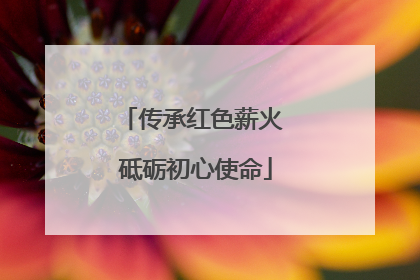 传承红色薪火 砥砺初心使命