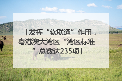 发挥“软联通”作用，粤港澳大湾区“湾区标准”总数达235项