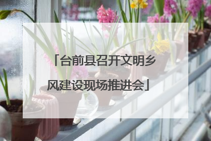台前县召开文明乡风建设现场推进会