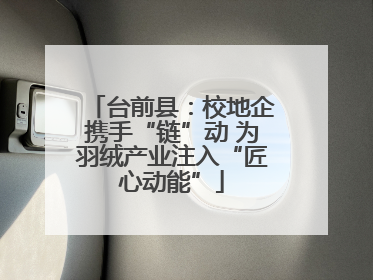 台前县：校地企携手“链”动 为羽绒产业注入“匠心动能”