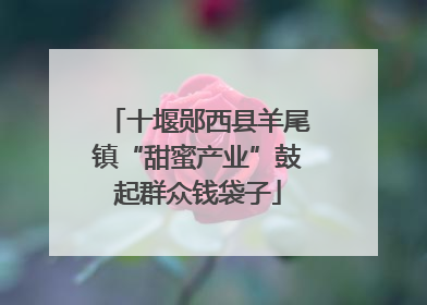 十堰郧西县羊尾镇“甜蜜产业”鼓起群众钱袋子