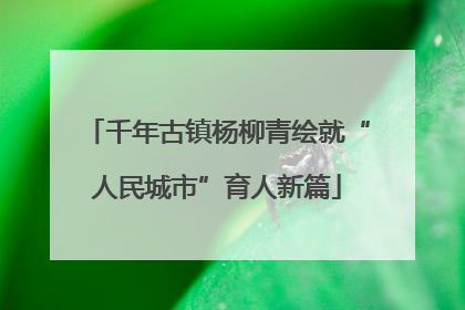 千年古镇杨柳青绘就“人民城市”育人新篇