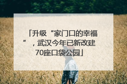 升级“家门口的幸福”，武汉今年已新改建70座口袋公园