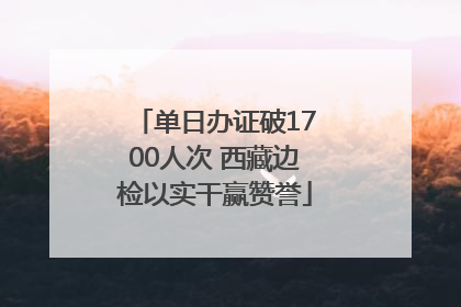单日办证破1700人次 西藏边检以实干赢赞誉