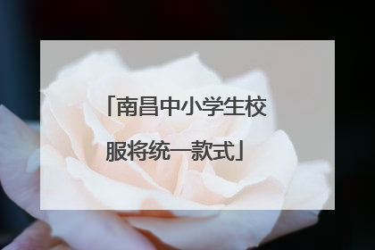 南昌中小学生校服将统一款式