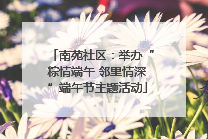 南苑社区：举办“粽情端午 邻里情深”端午节主题活动