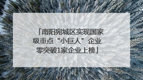 南阳宛城区实现国家级重点“小巨人”企业零突破1家企业上榜