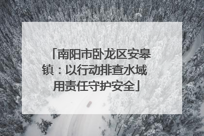 南阳市卧龙区安皋镇：以行动排查水域 用责任守护安全