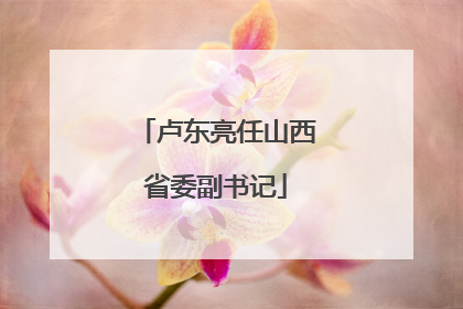 卢东亮任山西省委副书记