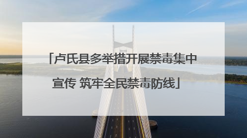 卢氏县多举措开展禁毒集中宣传 筑牢全民禁毒防线