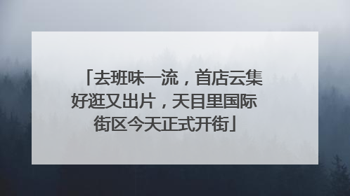 去班味一流，首店云集好逛又出片，天目里国际街区今天正式开街