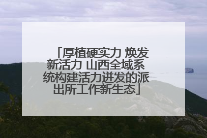 厚植硬实力 焕发新活力 山西全域系统构建活力迸发的派出所工作新生态