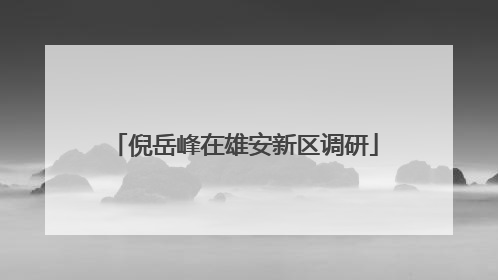 倪岳峰在雄安新区调研