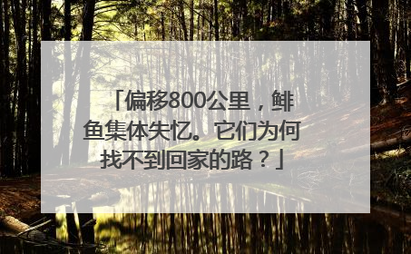 偏移800公里，鲱鱼集体失忆。它们为何找不到回家的路？
