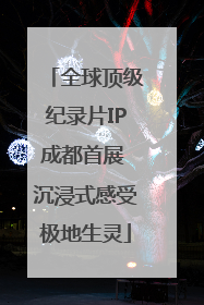 全球顶级纪录片IP成都首展 沉浸式感受极地生灵