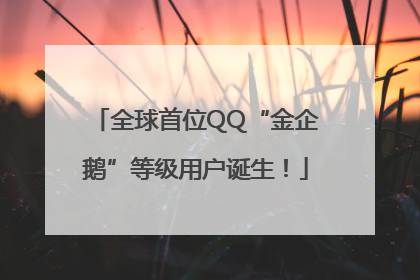 全球首位QQ“金企鹅”等级用户诞生！