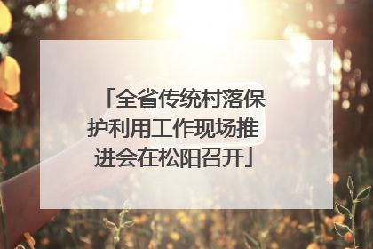 全省传统村落保护利用工作现场推进会在松阳召开