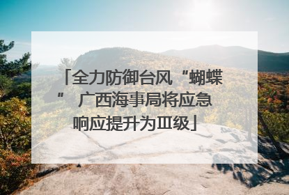 全力防御台风“蝴蝶” 广西海事局将应急响应提升为Ⅲ级