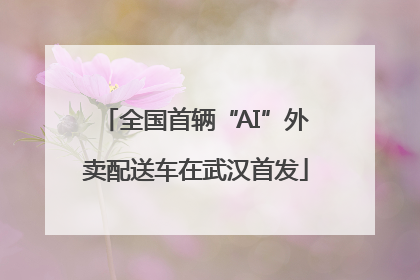 全国首辆“AI”外卖配送车在武汉首发