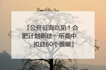 公开征询意见！合肥计划新建一所高中，拟建60个班级