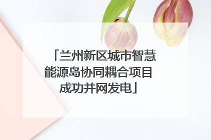 兰州新区城市智慧能源岛协同耦合项目成功并网发电