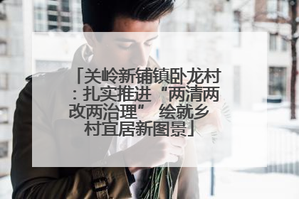 关岭新铺镇卧龙村：扎实推进“两清两改两治理” 绘就乡村宜居新图景