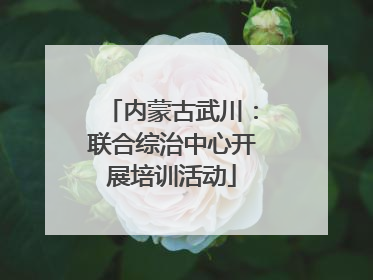 内蒙古武川：联合综治中心开展培训活动