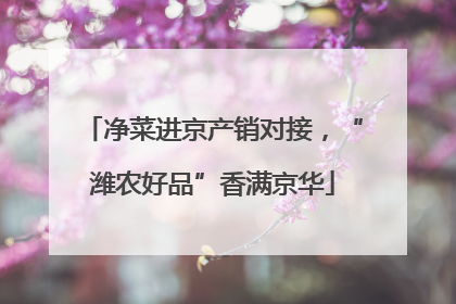 净菜进京产销对接，“潍农好品”香满京华