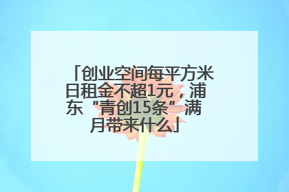 创业空间每平方米日租金不超1元，浦东“青创15条”满月带来什么