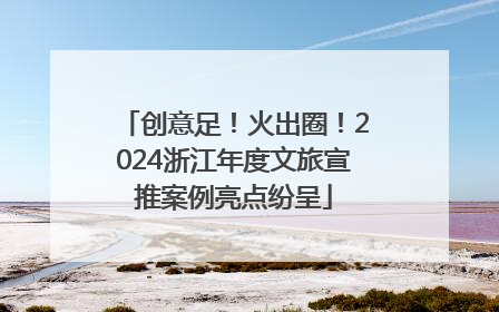 创意足！火出圈！2024浙江年度文旅宣推案例亮点纷呈