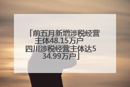 前五月新增涉税经营主体48.15万户 四川涉税经营主体达534.99万户