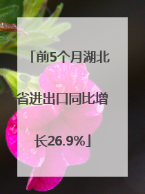 前5个月湖北省进出口同比增长26.9%