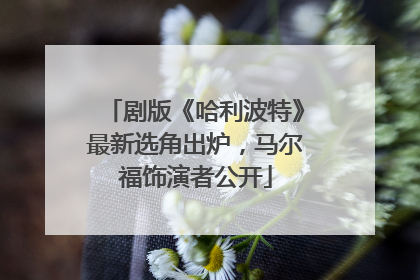 剧版《哈利波特》最新选角出炉，马尔福饰演者公开