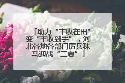 助力“丰收在田”变“丰收到手”，河北各地各部门厉兵秣马迎战“三夏”