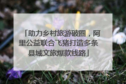 助力乡村旅游破圈，阿里公益联合飞猪打造多条县域文旅爆款线路