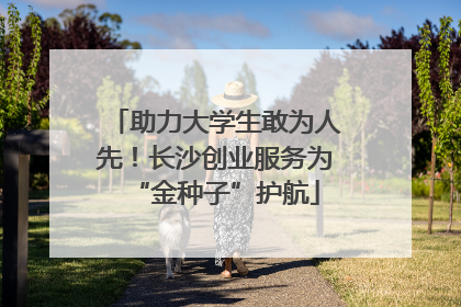 助力大学生敢为人先！长沙创业服务为“金种子”护航