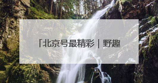北京号最精彩｜野趣盎然！京城这个生态桥连通两大网红公园