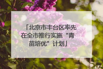 北京市丰台区率先在全市推行实施“青苗培优”计划