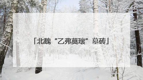 北魏“乙弗莫瓌”墓砖