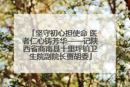 坚守初心担使命 医者仁心铸芳华——记陕西省商南县十里坪镇卫生院副院长贾胡委