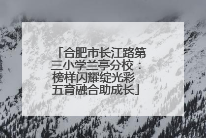 合肥市长江路第三小学兰亭分校：榜样闪耀绽光彩 五育融合助成长