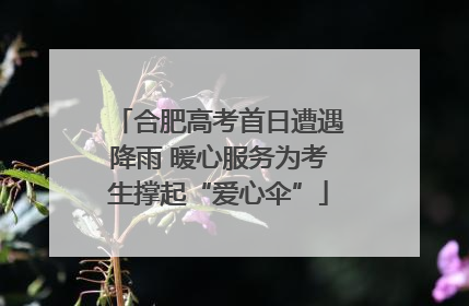 合肥高考首日遭遇降雨 暖心服务为考生撑起“爱心伞”