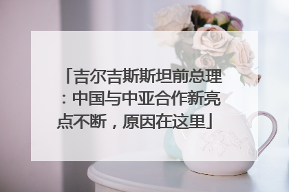 吉尔吉斯斯坦前总理：中国与中亚合作新亮点不断，原因在这里