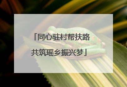 同心驻村帮扶路 共筑瑶乡振兴梦