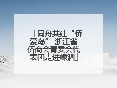 同舟共建“侨爱岛” 浙江省侨商会青委会代表团走进嵊泗